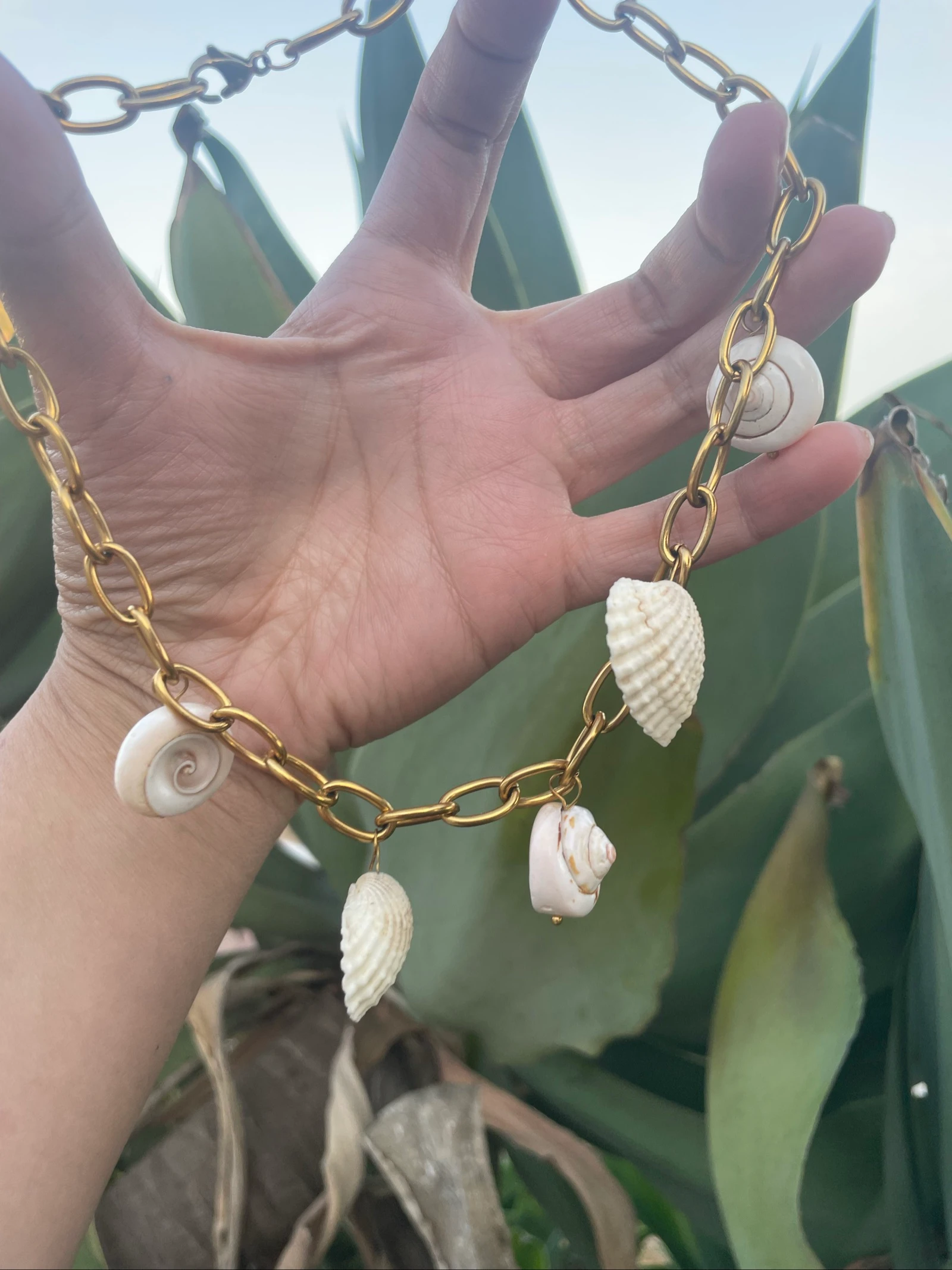 Collar conchas